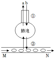 菁優(yōu)網(wǎng)