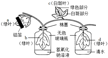 菁優(yōu)網(wǎng)