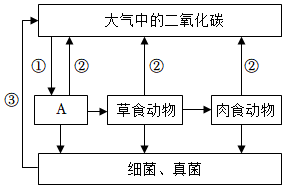 菁優(yōu)網(wǎng)