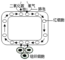 菁優(yōu)網(wǎng)