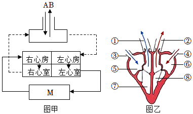 菁優(yōu)網(wǎng)