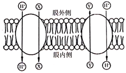 菁優(yōu)網(wǎng)