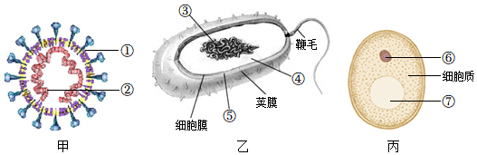 菁優(yōu)網(wǎng)