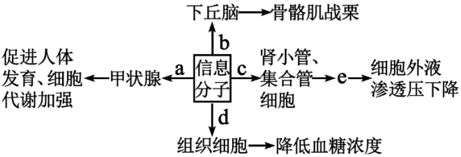 菁優(yōu)網