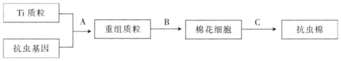 菁優(yōu)網(wǎng)