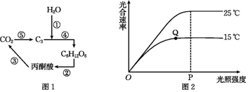 菁優(yōu)網(wǎng)