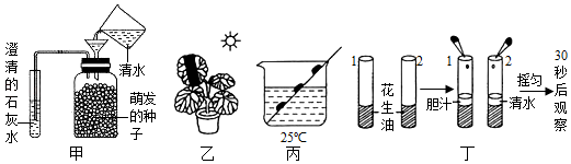 菁優(yōu)網(wǎng)