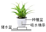 菁優(yōu)網