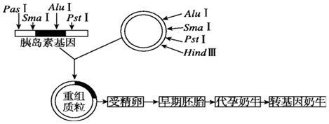 菁優(yōu)網