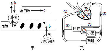 菁優(yōu)網