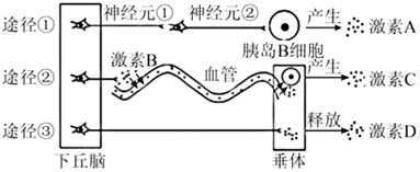 菁優(yōu)網