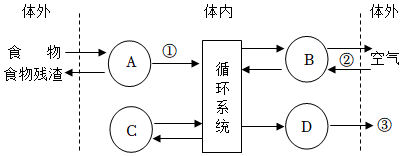 菁優(yōu)網(wǎng)