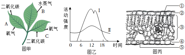 菁優(yōu)網(wǎng)