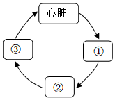 菁優(yōu)網(wǎng)