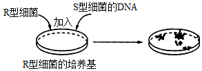 菁優(yōu)網