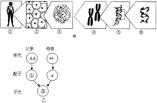 菁優(yōu)網