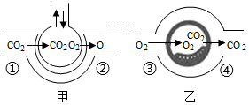 菁優(yōu)網(wǎng)