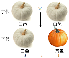 菁優(yōu)網