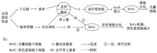 菁優(yōu)網