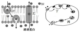 菁優(yōu)網(wǎng)