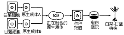 菁優(yōu)網