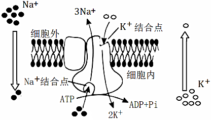 菁優(yōu)網(wǎng)