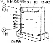 菁優(yōu)網