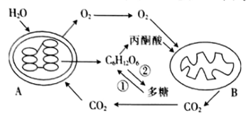 菁優(yōu)網(wǎng)