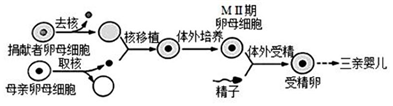 菁優(yōu)網