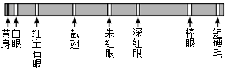 菁優(yōu)網