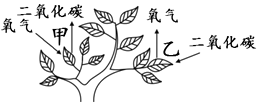 菁優(yōu)網(wǎng)