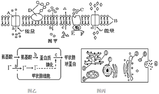 菁優(yōu)網(wǎng)