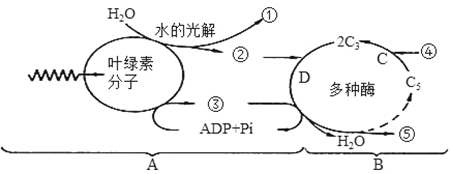 菁優(yōu)網(wǎng)