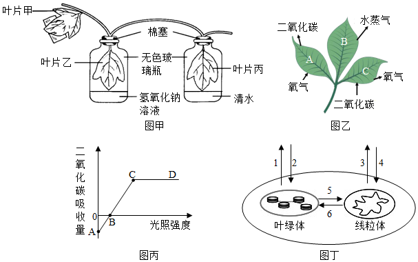 菁優(yōu)網(wǎng)