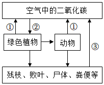 菁優(yōu)網