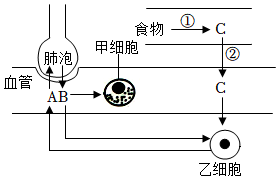 菁優(yōu)網(wǎng)