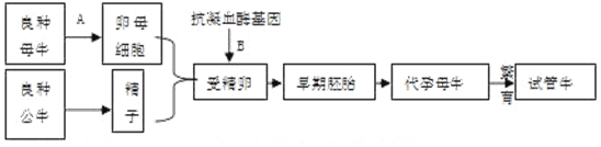 菁優(yōu)網