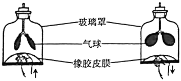 菁優(yōu)網(wǎng)