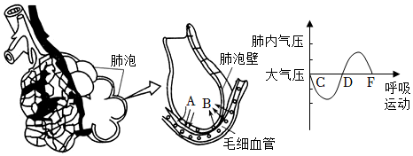 菁優(yōu)網(wǎng)