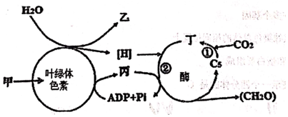 菁優(yōu)網(wǎng)