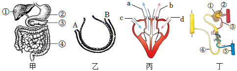 菁優(yōu)網(wǎng)