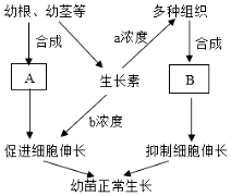 菁優(yōu)網