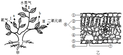 菁優(yōu)網