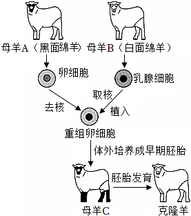 菁優(yōu)網