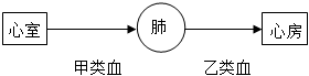 菁優(yōu)網(wǎng)