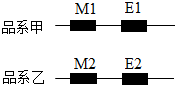 菁優(yōu)網(wǎng)