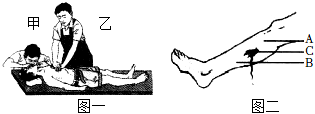 菁優(yōu)網(wǎng)