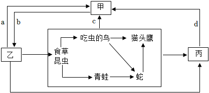 菁優(yōu)網(wǎng)