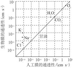 菁優(yōu)網