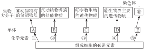 菁優(yōu)網